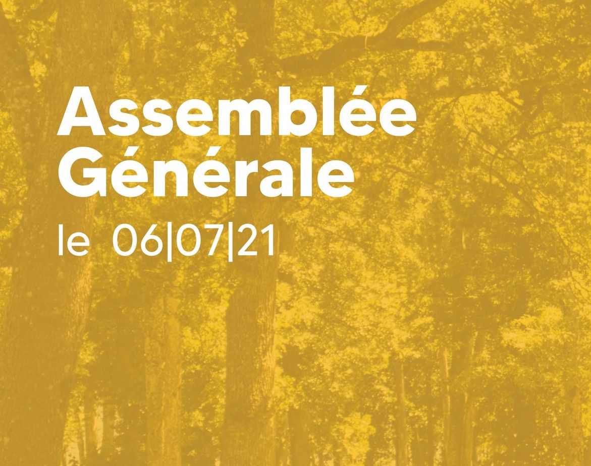 assemblée_générale