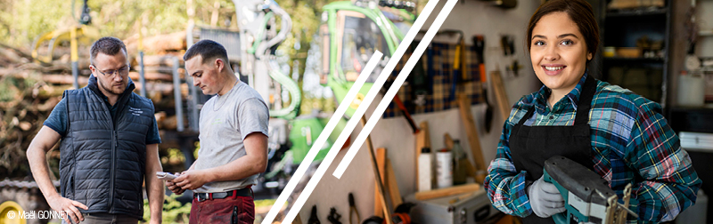 alternance filière forêt-bois