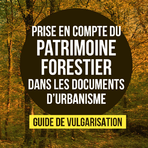 guide-de-vulgarisation-sur-la-prise-en-compte-du-patrimoine-forestier-dans-les-documents-d-urbanisme-par-fransylva-et-fibois-centre-val-de-loire