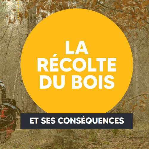 guide-sur-la-recolte-du-bois-et-ses-consequences-par-fransylva-et-fibois-centre-val-de-loire