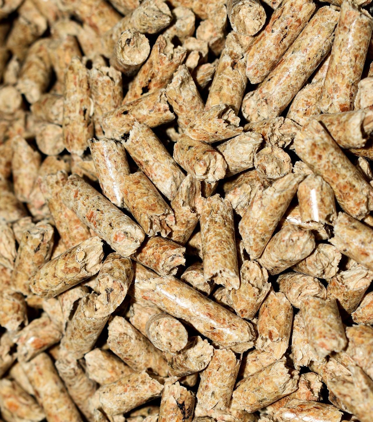 granule-pellet