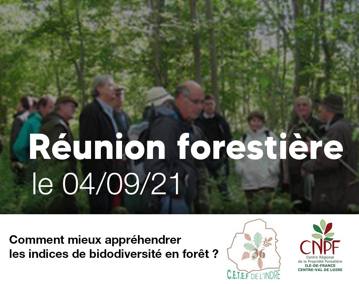 reunion-forestiere-crpf-cetef-de-l-indre-comment-mieux-apprehender-les-indices-de-biodiversite-en-foret