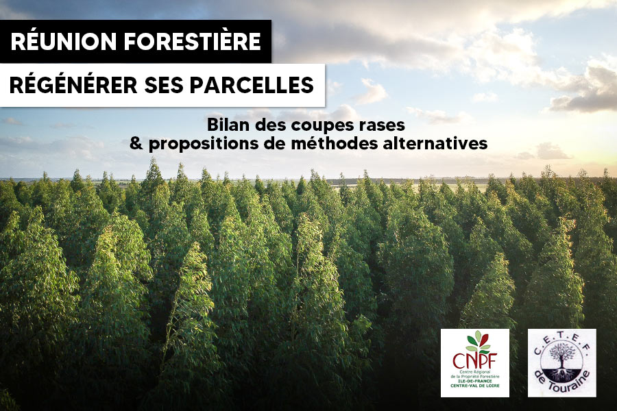 reunion-forestiere-regenerer-ses-parcelles-bilan-des-coupes-rases-et-propositions-de-methodes-alternatives-barrou-crpf