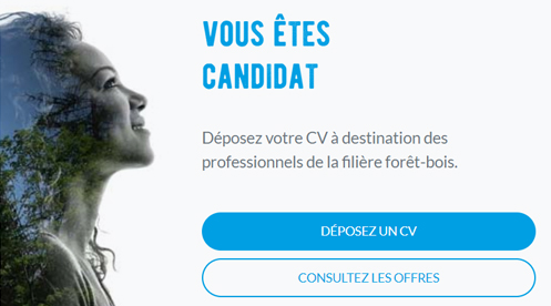 site-recrutement-emploi-foret-bois-candidater