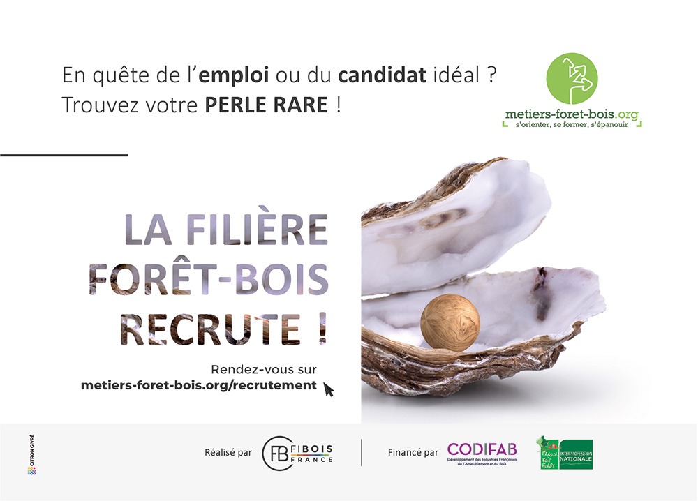 site-recrutement-emploi-foret-bois