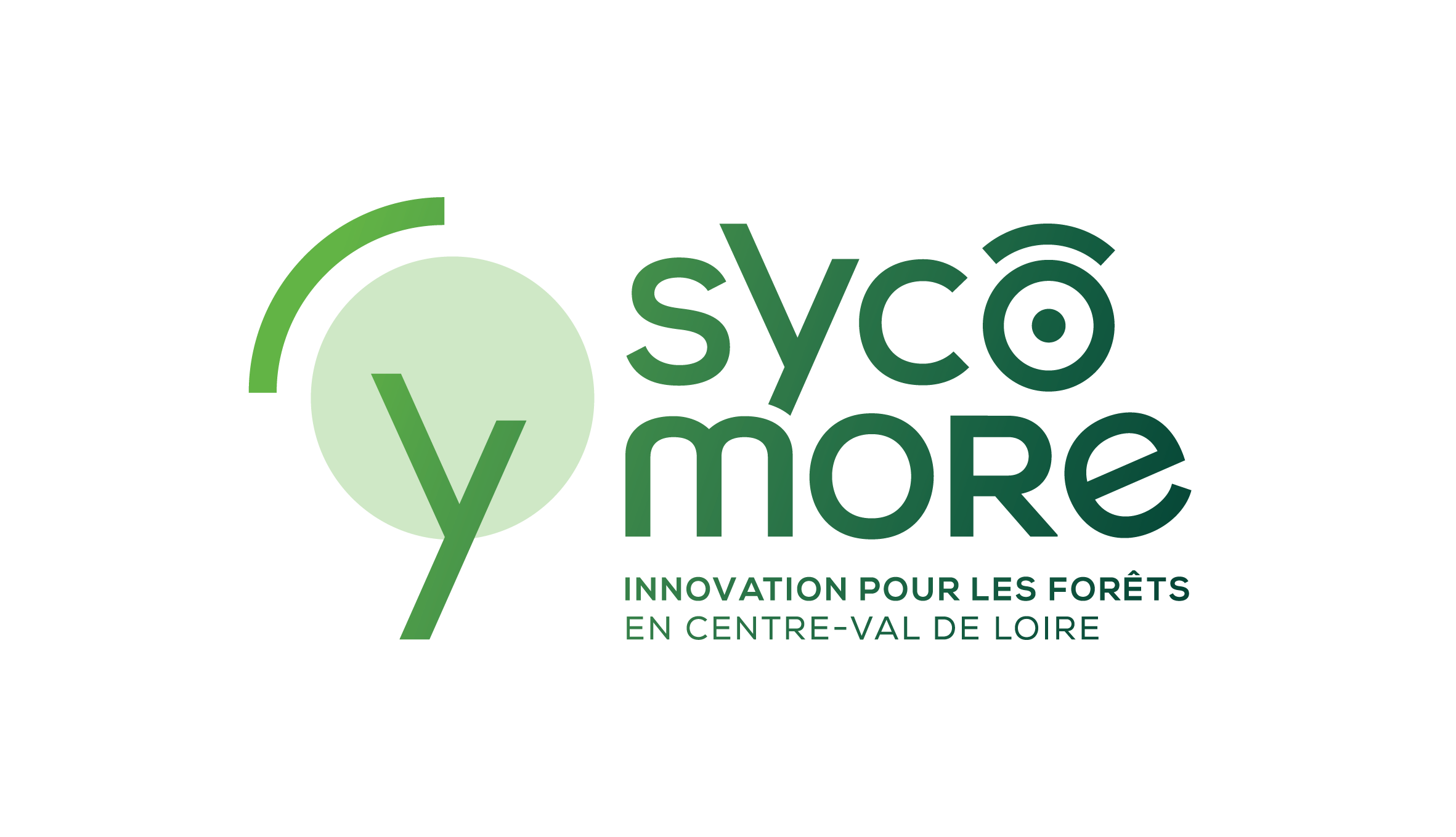 sycomore