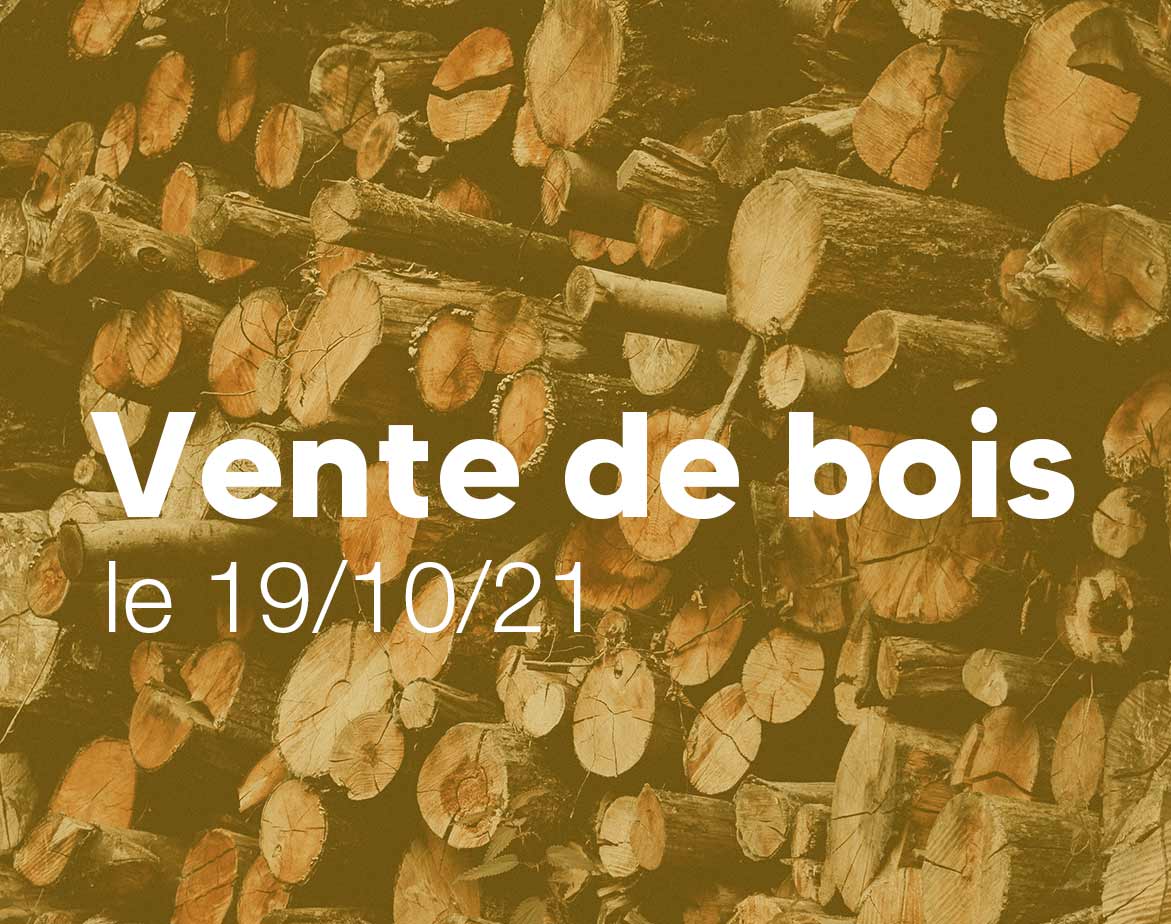 vente-de-bois-cerilly-19-octobre-2021