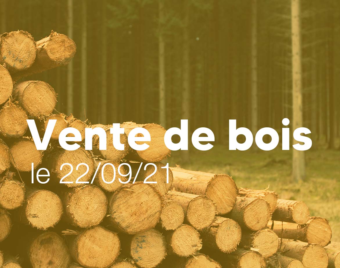 vente-de-bois-ecommoy-22-septembre-2021