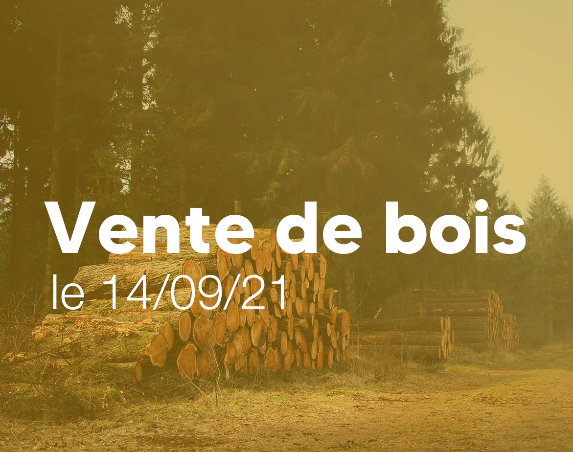 vente-de-bois-villebarou-14-septembre-2021