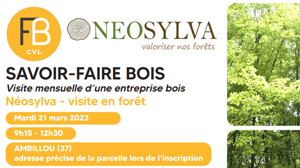 visite-en-foret-neosylva-jif-fibois-centre-val-de-loire-mars-2023